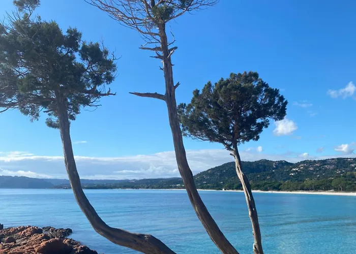 Superbe Vecchio Vue A Pied